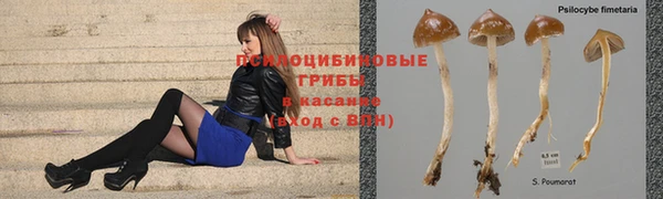 наркотики Михайлов