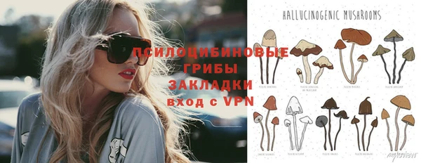 ECSTASY Михайловск