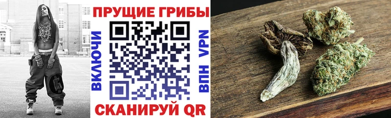 Галлюциногенные грибы мухоморы  магазин продажи   Покачи 